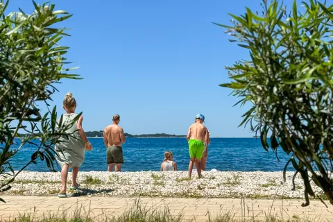dopust opazovanje morje / Foto: Tina Dokl