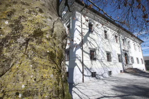 reportaža Tavčarjev dvorec Visoko priloga Karavanke občina Gorenja vas Poljane / Foto: Gorazd Kavčič
