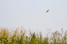 Dogodek ob koncu projekta Nakup letal za ga&scaron;enje Air Tractor na voja&scaron;ki plo&scaron;čadi letali&scaron;ča Ljubljana / Foto: Primož Pičulin