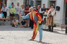 srečanje mest na Venerini poti Radovljica / Foto: Tina Dokl