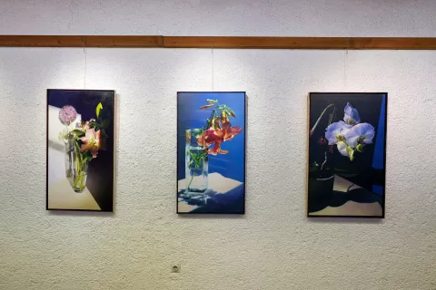 Pavel Florjančič odprtje slikarska razstava Iskanje brezčasne lepote Galerija muzeja Železniki / Foto: Tina Dokl