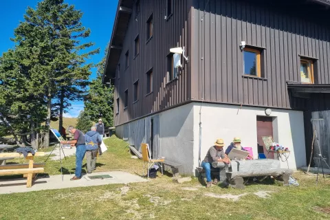 Mednarodni likovni bienale na Veliki planini