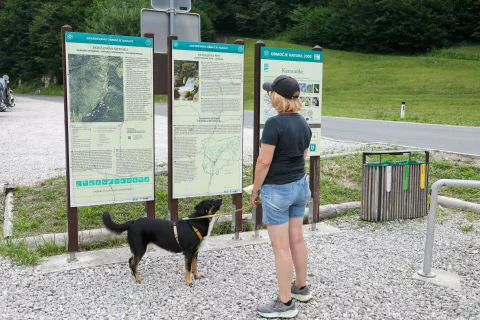 Rajsko poletje v osrčju Karavank