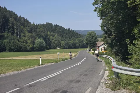 Nevljica ostaja kamen spotike