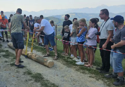 Pajsanje hloda / Foto: Klara Mrak