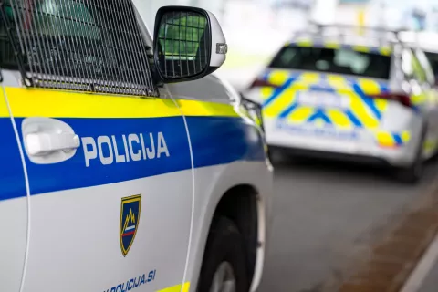 Simbolična fotografija Policija / Foto: Nik Bertoncelj