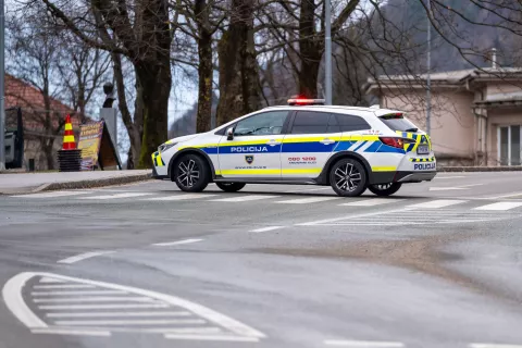 Simbolična fotografija Policija / Foto: Nik Bertoncelj