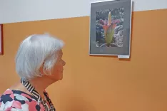 V objektiv ujeti trenutki narave