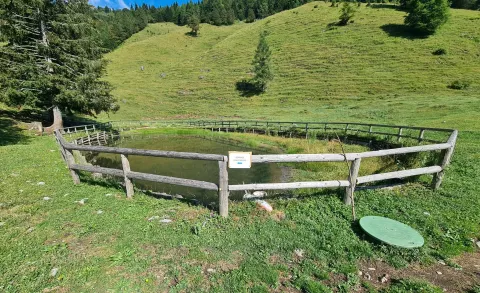 Na planini so obnovili tudi vodno zajetje. / Foto: Cveto Zaplotnik