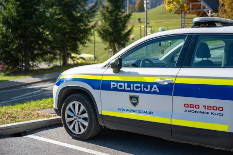 Simbolična fotografija Policija / Foto: Nik Bertoncelj
