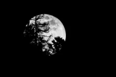 Simbolična fotografija polna luna pokrajina narava mesec mrak tema lunin cikel / Foto: Nik Bertoncelj