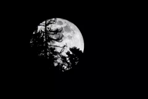 Simbolična fotografija polna luna pokrajina narava mesec mrak tema lunin cikel / Foto: Nik Bertoncelj