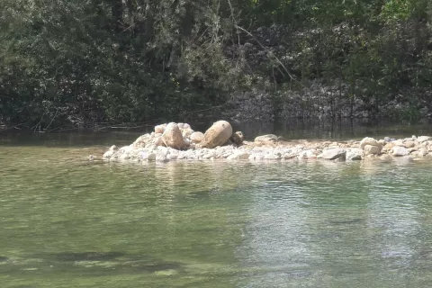 bomba sava globoko / Foto: MInistrstvo za obrambo