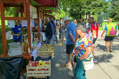 Obiskovalcev ni manjkalo, k čemur je verjetno botrovalo tudi dobro vreme,. / Foto: Alenka Brun