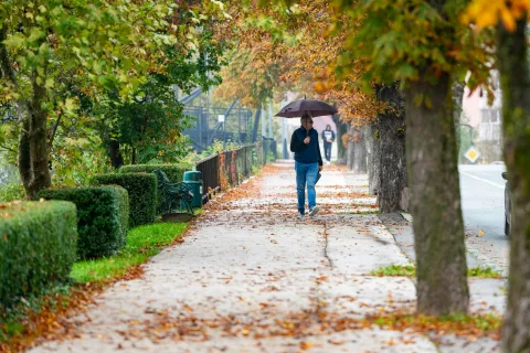Jesensko urbano okolje v mestu.Jesen, Gorenjska, simbolično, simbolična, mesto, urbano, okolica, sprehod, pe&scaron;ec, vreme, dež, jesensko listje, promenada, sprehajalna pot, pločnik, drevored, dežnik, drevo. Jesenice / Foto: Nik Bertoncelj