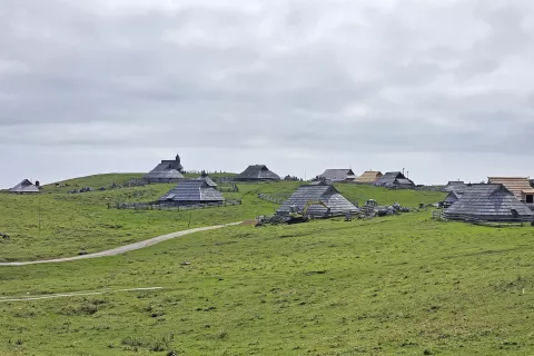 Pa&scaron;na sezona je za letos zaključena. / Foto: &Scaron;pela &Scaron;imenc