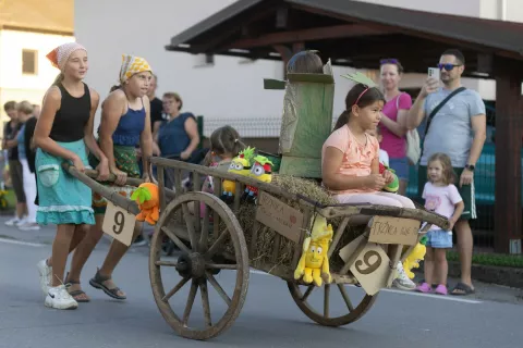 Jubilejna dirka z garami