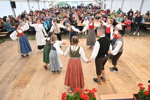 Srečanje upokojencev Gorenjske / Foto: Primož Pičulin
