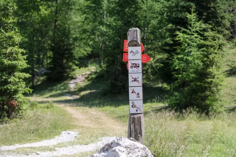 simbolična fotografija Vr&scaron;ič pri Erjavčeva koča TNP triglavski narodni park prepovedano kampiranje kurjenje v naravi nabiranje gob gobe ogroženih rastlin občina Kranjska gora / Foto: Tina Dokl