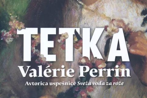 Val&eacute;rie Perrin, Tetka, roman, Prevedel Luka Novak, Vida, Ljubljana, 2026, 752 strani / Foto:    