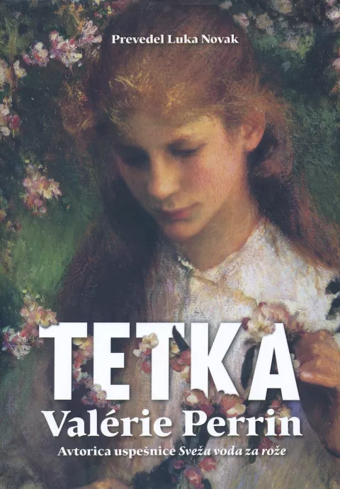 Val&eacute;rie Perrin, Tetka, roman, Prevedel Luka Novak, Vida, Ljubljana, 2026, 752 strani / Foto:    