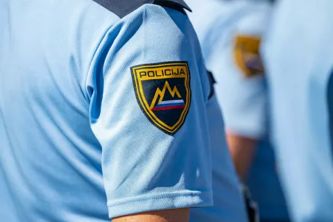 Simbolična fotografija Policija / Foto: Nik Bertoncelj