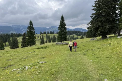 Kaj je povzročilo onesnaženje vode