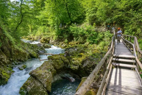 Reportaža Soteska Vintgar in turizem v začetku sezone, 19. maj 2026 / Foto: Nik Bertoncelj