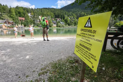 Toksini prisotni v go&scaron;čah, v vodi ne