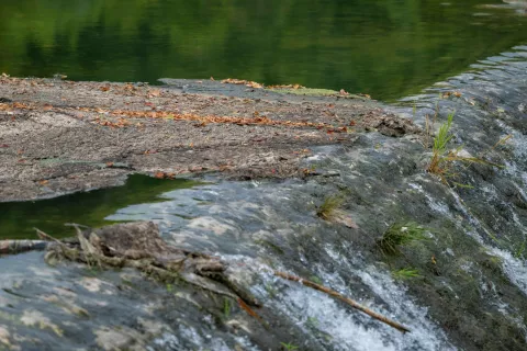 Či&scaron;čenje onesnažene Save Bohinjke Cajhnov jez Radovljica sotočje Save Bohinjke in DolinkeCajhnova hidroelektrarna Lancovo, Radovljica 7. avgust 2026 / Foto: Nik Bertoncelj