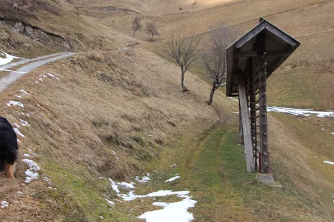 Kmetje bodo letošnja plačila za kmetovanje na območjih z omejenimi naravnimi in drugimi možnostmi prejeli šele na začetku prihodnjega leta. (Slika je simbolična.) / Foto: Cveto Zaplotnik