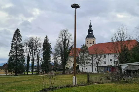 Z enega od dimnikov gradu Dvor so premestili gnezdo &scaron;torkelj na novopostavljeni drog v bližini. / Foto: Alenka Brun