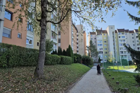 Intervencijsko pot bodo predvidoma asfaltirali prihodnji teden. / Foto: Simon &Scaron;ubic