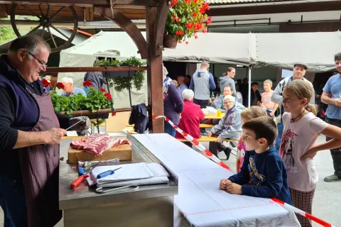 Koline Laj&scaron;e / Foto: Ana &Scaron;ubic