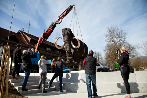 Transport in namestitev skulpture mamuta v Kamniku / Foto: Aleš Senožetnik