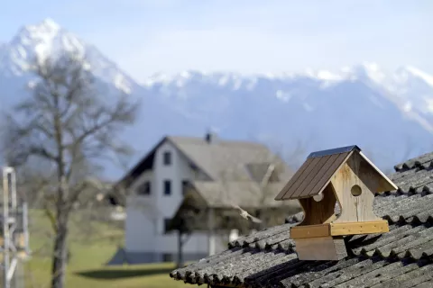 Glasov razgled 1 / Foto: Nik Bertoncelj