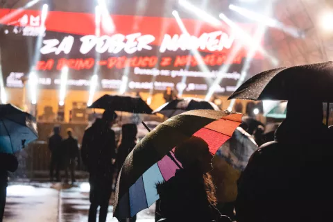 Glasov razgled 2 / Foto: Nik Bertoncelj