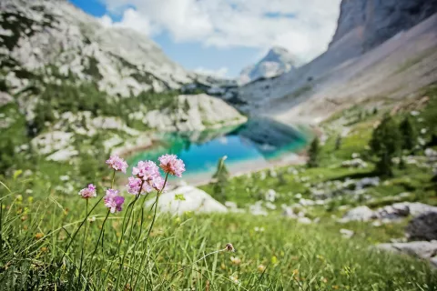 Zavarovano območje je sprva obsegalo le Dolino Triglavskih jezer, danes pa obsega skoraj celotne Julijske Alpe. / Foto: Ale&scaron; Zde&scaron;ar, arhiv javnega zavoda TNP / Foto: 