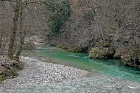 Odlok o javnem redu in miru v Občini Preddvor se opredeli tudi do piknikov. Pove kje so prepovedani oziroma dovoljeni in pod kakimi pogoji. / Foto: Tina Dokl