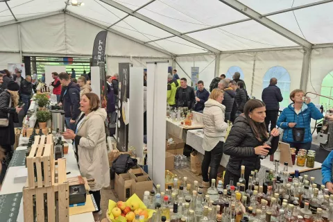 V &scaron;otoru in kozolcu pri Viso&scaron;kem dvorcu se je od popoldneva do večera trlo obiskovalcev. / Foto: Klara Mrak