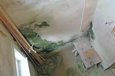 Največjo težavo v stolpu predstavlja vlaga. / Foto: Alenka Brun