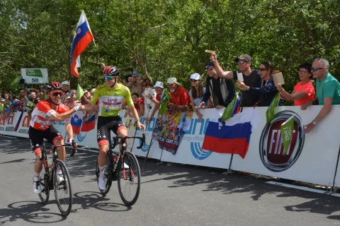 Dirko Po Sloveniji sta zaznamovala klubska kolega slovenski junak Tadej Pogačar (desno) in Poljak Rafal Majka. Skupaj sta zaključila tudi kraljevsko etapo s ciljem na Veliki planini, kjer je navijalo več tisoč ljubiteljev kolesarstva. Etapo je dobil Majka, dirko pa drugič Pogačar. / Foto: Maja Bertoncelj