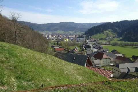 Pogled na Žiri. / Foto: Jelena Justin