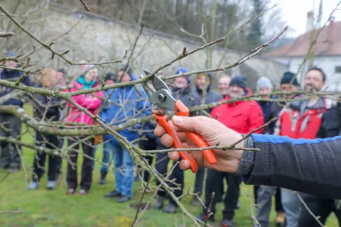 prikaz obrezovanje sadno drevje predavatelj dr Jan Bizjak organizira Sadjarsko vrtnarsko društvo Tunjice in JZK Kamnik v Mekinjski samostan učni mestni sadovnjak / Foto: Tina Dokl