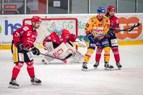 Prva jeseniška ekipa Sij Acroni Jesenic je v minuli sezoni v Alpski hokejski ligi osvojila drugo mesto, v tej ligi pa bodo Jeseničani nastopali tudi v novi sezoni. / Foto: Nik Bertoncelj
