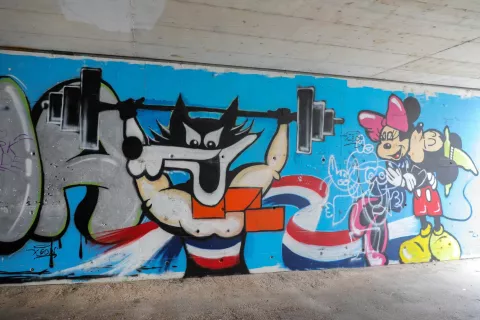 grafiti Planina Kranj podhod / Foto: Tina Dokl