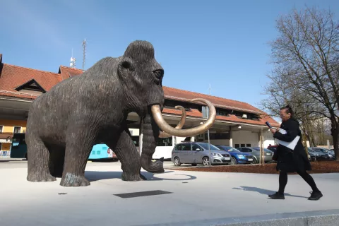 portret Matej Slapar župan mamut kip center občina kamnik / Foto: Gorazd Kavčič