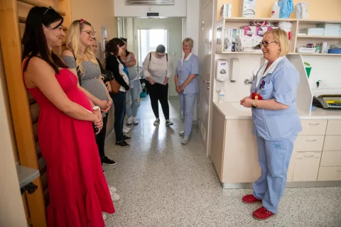 V BGP Kranj so vodili v manjših skupinah / Foto: Primož Pičulin