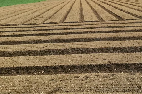V Kranju in okolici je lani srednja cena kmetijskih zemljišč znašala šest evrov za kvadratni meter. (Slika je simbolična.) / Foto: Cveto Zaplotnik