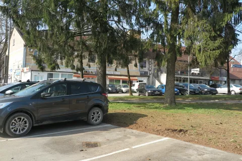 Parkiri&scaron;ča v &Scaron;kofji Loki bodo v naslednjih dneh obiskovali popisovalci. / Foto: Vilma Stanovnik